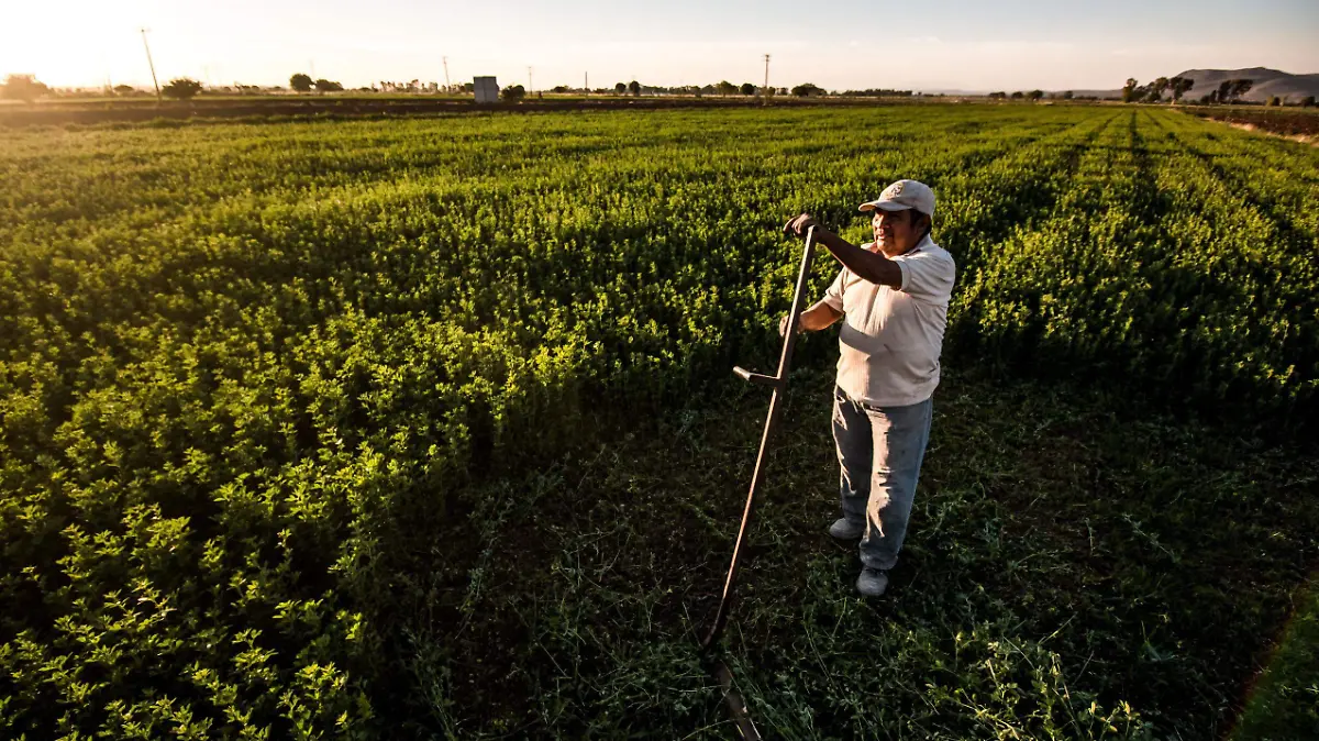 Estiman apoyos para cerca de 400 productores.  Foto Archivo  El Sol de San Juan del Río.